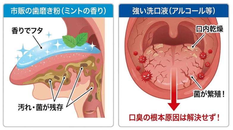 ミントとの比較